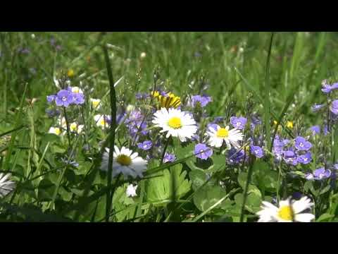 Я Повертаюсь Lydia скачать mp3