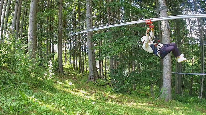 2021 08 12 84 export