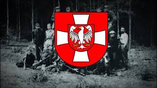 Wołyń 43 - Polish song about the volhynian genocide