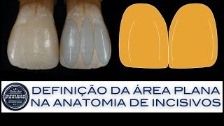 Definição da área plana na anatomia de incisivos