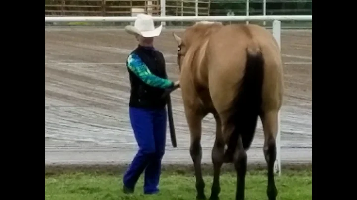 Teresa Coyle Kasson Showmanship