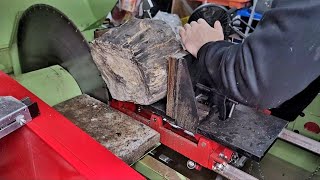 Huge 50lb Petrified Wood Stump Cut & Polish | 4th Week of Rockmas Giveaway