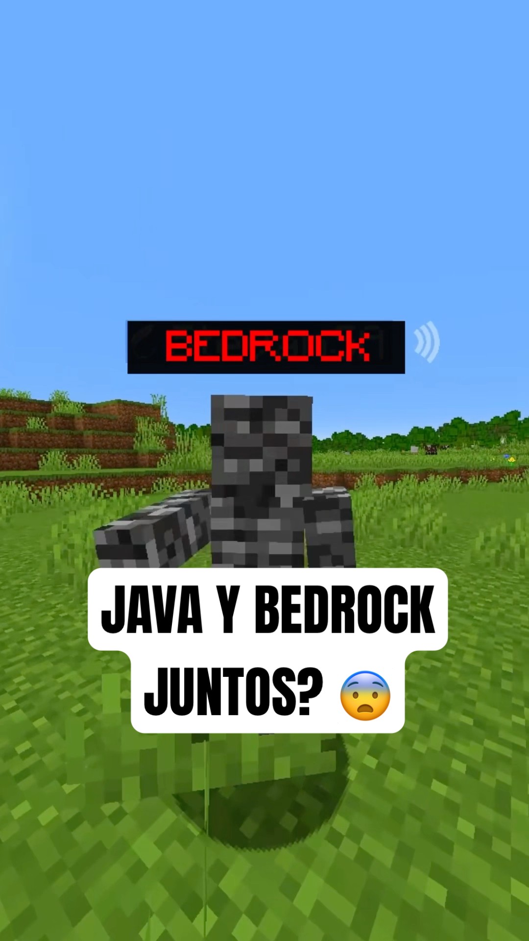 Cómo jugar Minecraft Bedrock y Java juntos