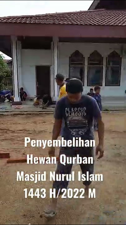 Penyembelihan Hewan Qurban 1443 H/2022 M #shorts #iduladha