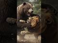 Lion Vs Bear Fight Lion Vs Grizzly Bear Ultimate Wild Battle Grizzly Bear VS Lion Who Will Win