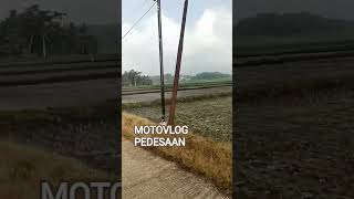 Jln Yg Dikelilingi Pesawahan Sejuk Rasa Nyasuasanayangindah suasanakdanung jlnpedesaan