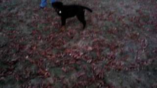 MVI_3094.AVI