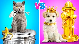 Богатая Собака VS Бедный Кот | Моя Собака - Владелец Игры в Кальмара