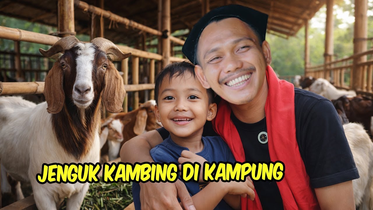 KEBELET PENGEN KAMBING BERTANDUK