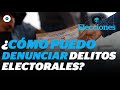 ¿Qué son los delitos electorales y cómo puedes denunciarlos? I Reporte Indigo