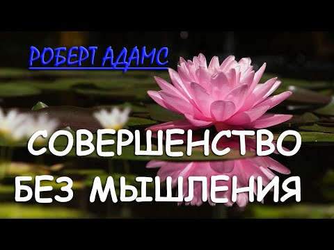 СУЩЕСТВОВАНИЕ БЕЗ МЫШЛЕНИЯ ??!  [Роберт Адамс, 24]