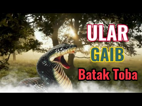 Pikapchi birinchi shaxs pornosida Irinani yoldan ozdiradi va sikadi.