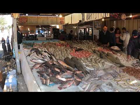 Video: Hamburška ribja tržnica