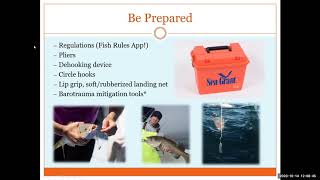 Conservation Conversations: Wednesday, October 14, 2020. Topic: Best Practices for C & R Fishing.