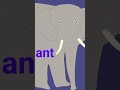 PIXEL AUSTRALIAN ANIMALS PIXEL ZOO 1 PIXEL INSECTS 2