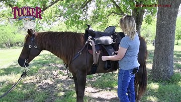 Stirrup Leather Adjustment