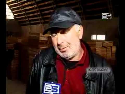 სოფელ შარაბიძეების მცხოვრებლები ციტრუსის რეალიზაციის პრობლემას უჩივის