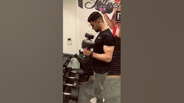DB Hammer Curl [Arm]