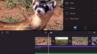 iMovie for iPad Tutorial 8 - The Ken Burns Effect