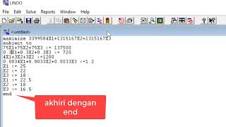 Penggunaan Lindo untuk menyelesaikan Program Linier screenshot 5