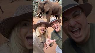 🇿🇦Antonis Remos & Josephine in South Africa🐘 Αντώνης Ρέμος Ζόσεφιν στην Νότια Αφρική #Ζόζεφιν #remos