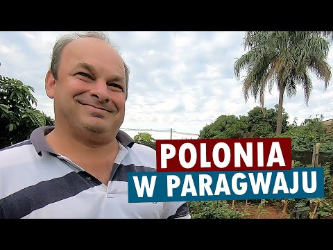 Wideo: Najlepsze atrakcje w Paragwaju