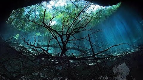 I dream of by MaxxoRMeN