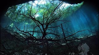 I Dream Of By Maxxormen