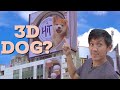 How the "3D" Dog Billboards Look From Different Angles | Shibuya Streetview