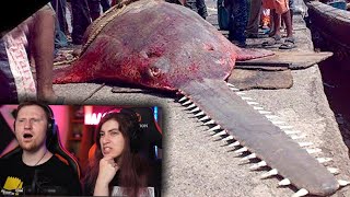 видео: 10 Самых Опасных Рыб в Мире, с Которыми Лучше не Связываться | РЕАКЦИЯ на Smart Pizza картинка: 10 Самых Опасных Рыб в Мире, с Которыми Лучше не Связываться | РЕАКЦИЯ на Smart Pizza