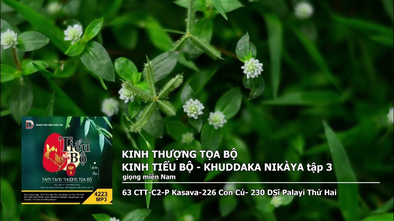 Tập 3 – 63 CTT–C2–P Kasava–226 Con Cú– 230 DSĩ Palayi Thứ Hai giọng miền Nam-wKn5 