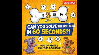 Dog bone 🦴 puzzle , can you solve in 60 seconds