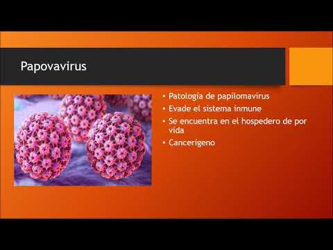 Video: Enfermedades Virales Phlox