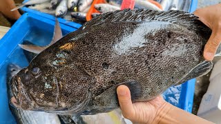 目前買過最貴的魚做成比黑鮪魚更貴的生魚片。