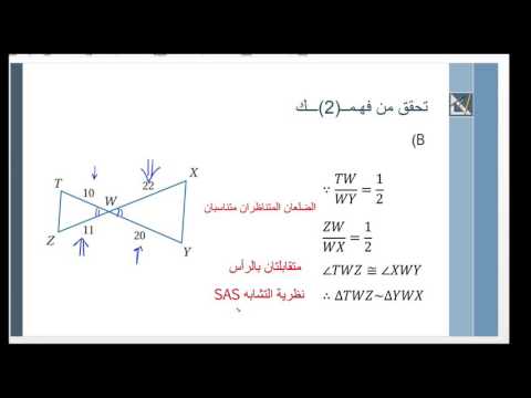 المثلثات المتشابهة "مقرر رياضيات ٢" المرحلة الثانوية