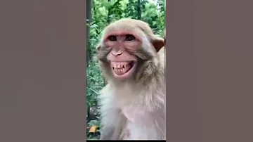 Manky Funny Smail Aalu Balu CartoonRasgulle Kha Lain Aloo Wala Short Videolockdown Aalu Comedy 