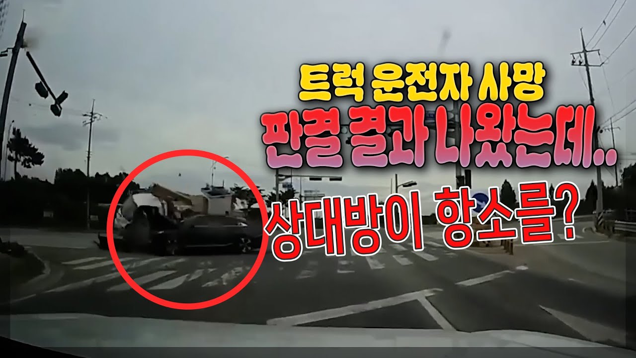 25794회. 합의하고 판결 결과까지 나와서 상대 교수직은 할 수 있게 되었는데 벌금 항소를 걸었다?