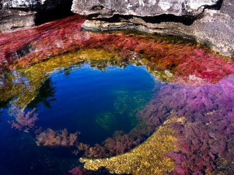 The most beautiful river on earth - Crystal Spout (Caño Cristales)
