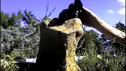 John the angry electrician