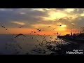 في ليل الذنب مضى عمر تصميمي mp3