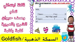 تعلم وصف حيوان/ description pet/ English3rd year،تعبير بالإنجليزية  تحضيرا لاختبار الثالثة ابتدائي