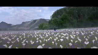 Romantic status..........Hamari adhuri kahani....