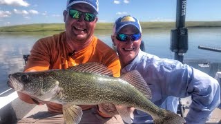 Trolling Summer Walleye at High Speeds