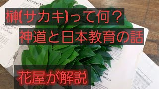 はなここち「はなここち」榊（サカキ）と神道の回　コロナ禍での不動産ショックの話