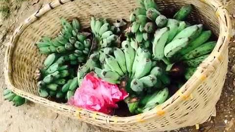 Phượt thủ Tây Bắc ghé thăm chợ phiên Muổi Nọi, Thuận Châu, Sơn La