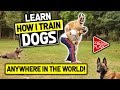 MasterPaw Course | Dog Training System | Dog Training Tips | Dog Training Course | Train Dogs MasterPaw Course | Dog Training System | Dog Training Tips | Dog Training Course | Train Dogs