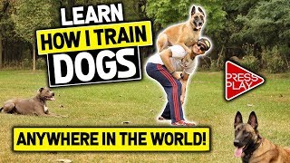 MasterPaw Course | Dog Training System | Dog Training Tips | Dog Training Course | Train Dogs by MasterPaw 3,871 views 5 years ago 3 minutes, 33 seconds