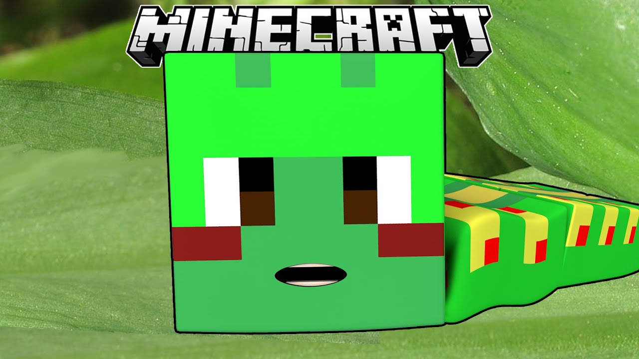 Minecraft DERPY Caterpillar Build Battle YouTube