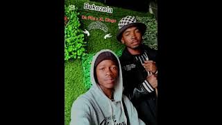 XL Dingo _DarR PeE _Bekezela _(Shaker Sbali Record_2025)#music
