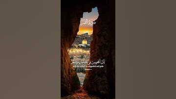 "سيهزم الجمع ويولون الدبر - تلاوات رائعة ودعاء لفلسطين"